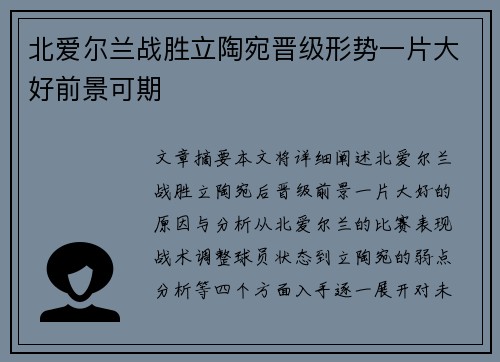 北爱尔兰战胜立陶宛晋级形势一片大好前景可期