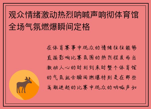 观众情绪激动热烈呐喊声响彻体育馆全场气氛燃爆瞬间定格